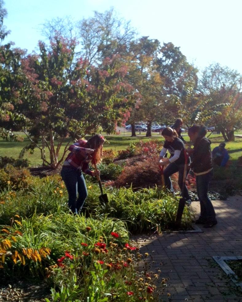students working in garden